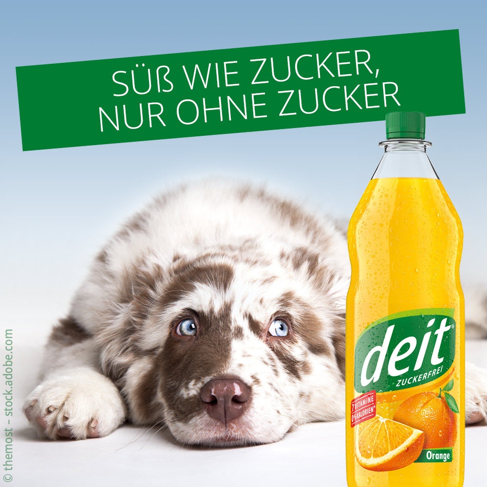 deit_ohne_zucker